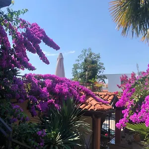 Apartman Ana, Opatija